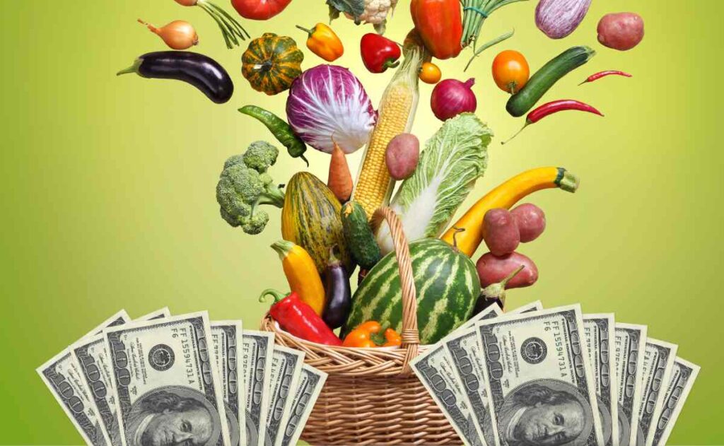 Basket with groceries going up and dollars since SNAP benefits increased unexpectedly for millions of Americans