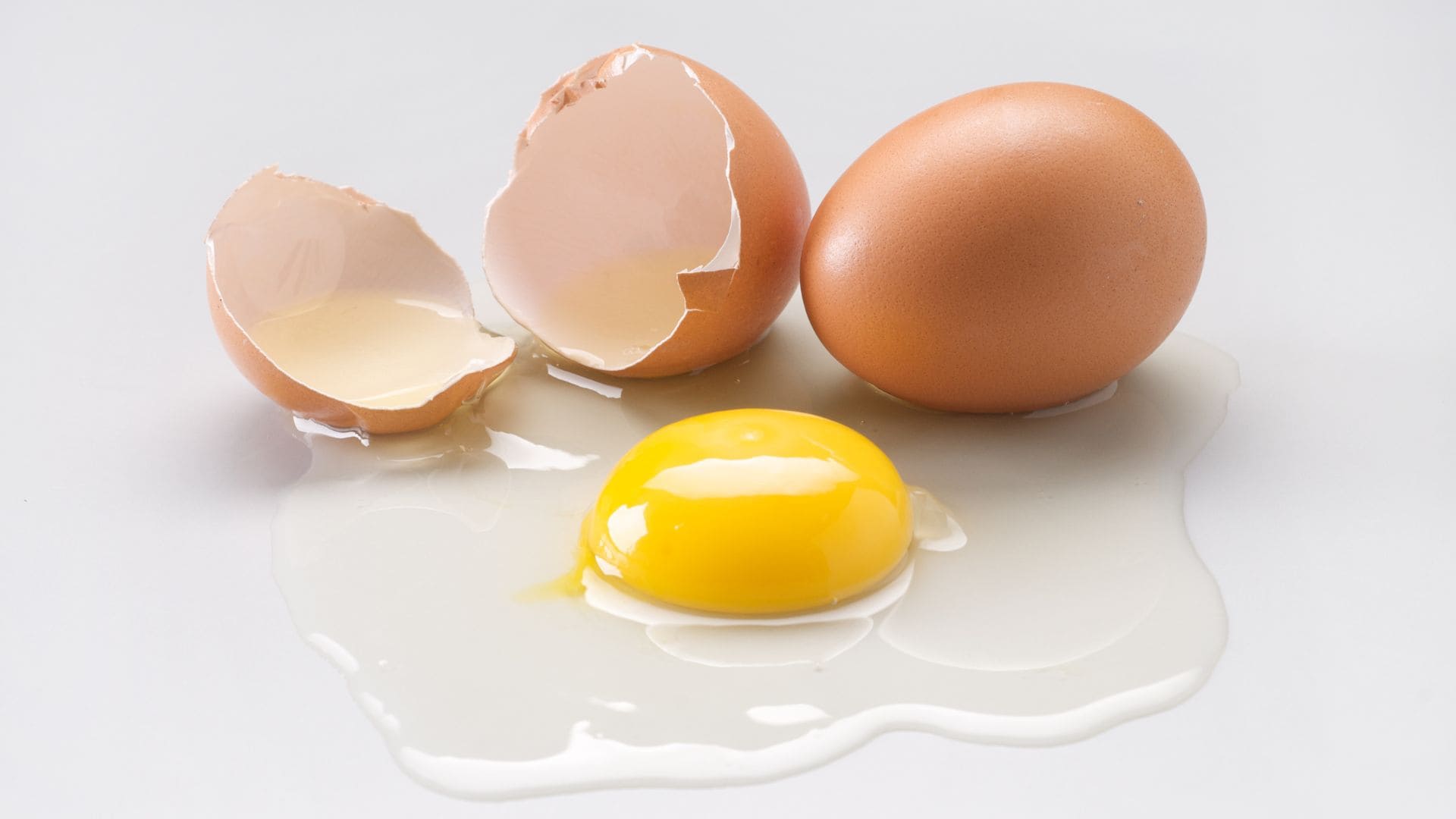 Find out how much proteins an egg could have