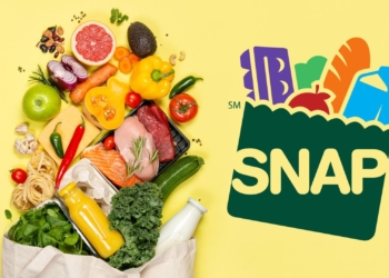 SNAP Food Stamps - Which states are sending a new check next week?