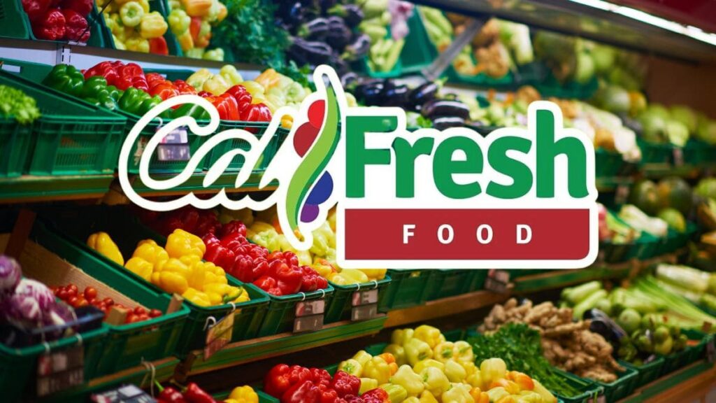 CalFresh (Food stamp)