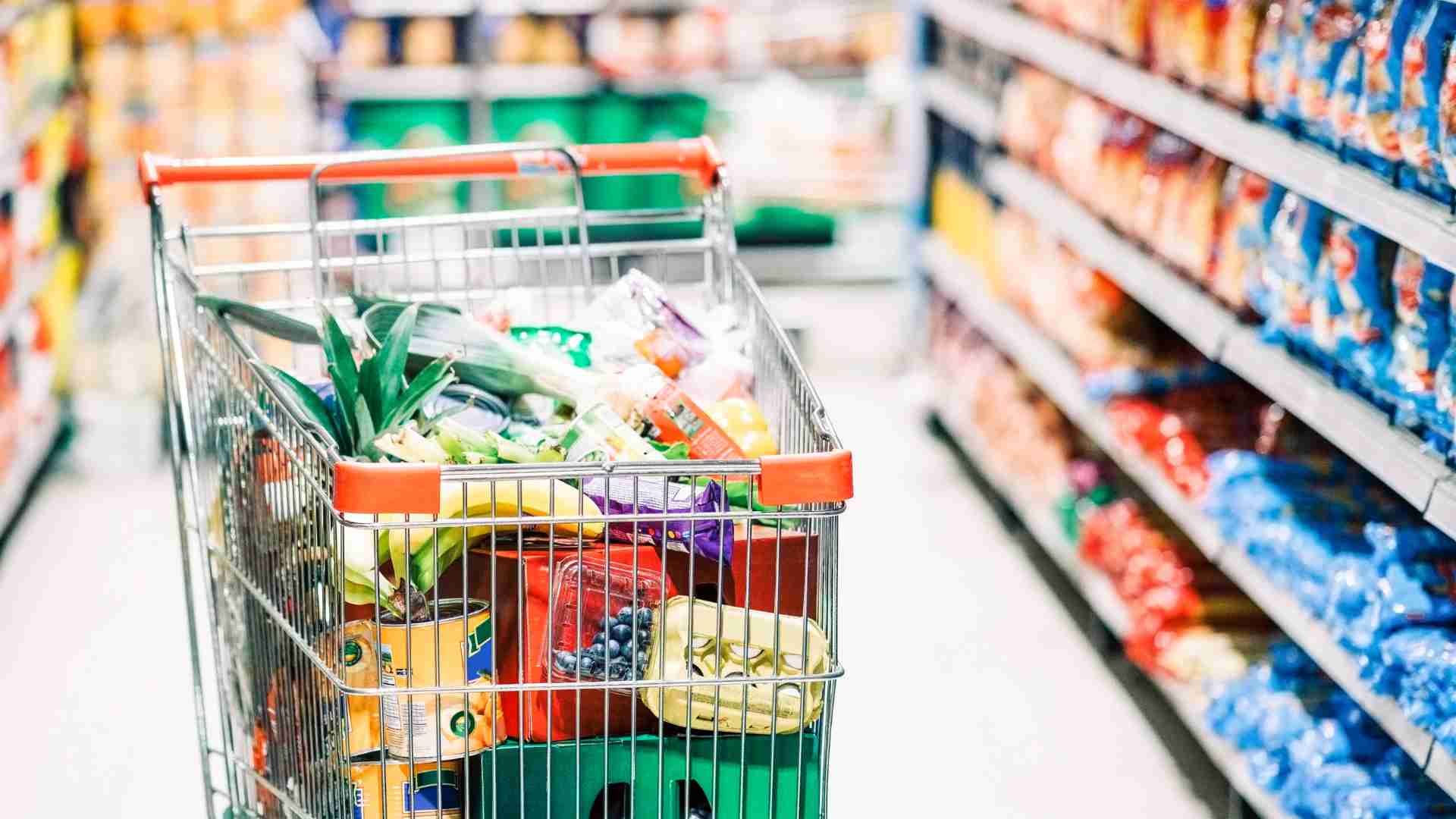 SNAP benefits will allow you to buy your groceries for less money, apply for Food Stamps if you have a low income
