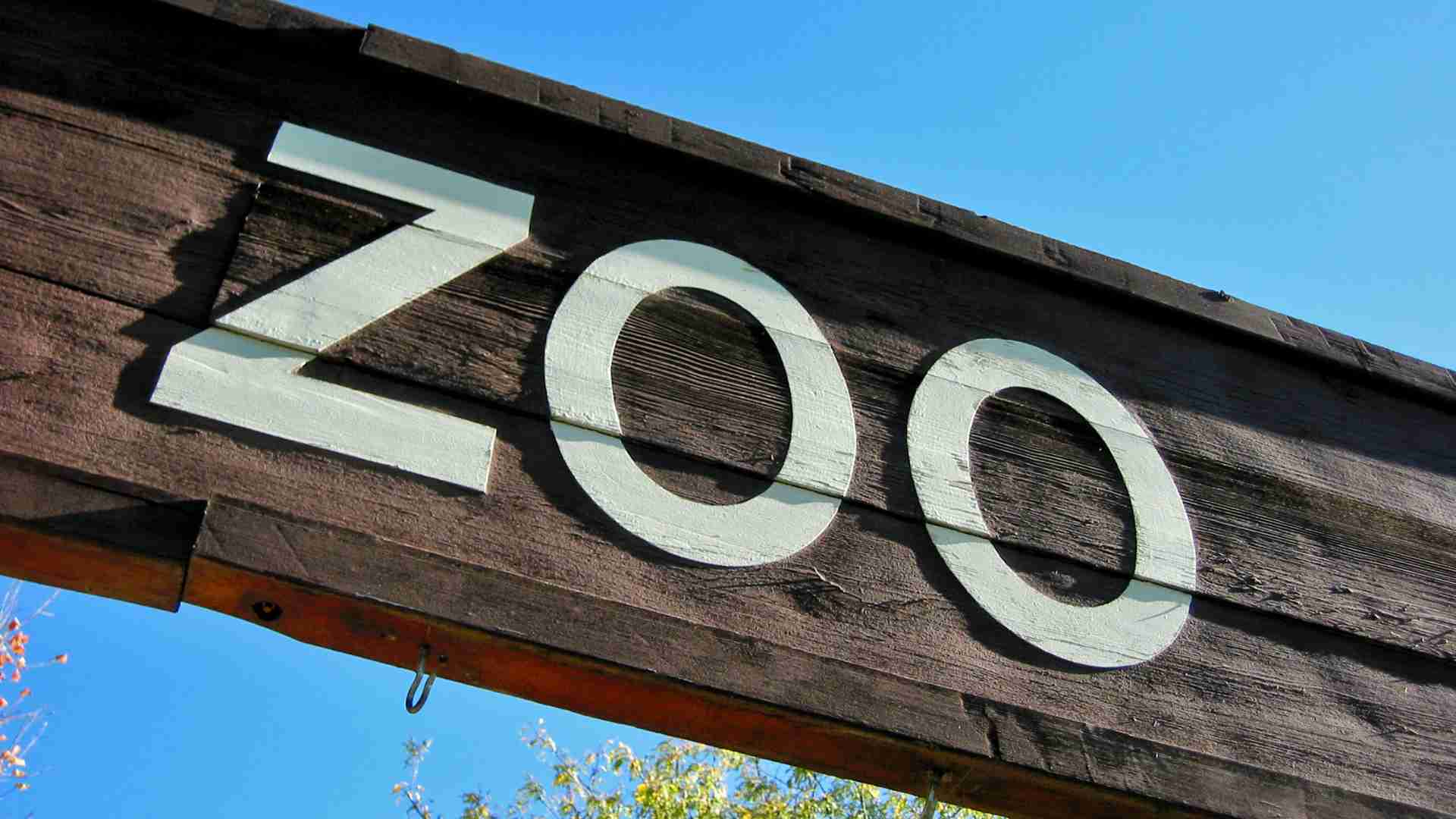 There are some museums and zoos that offer discounts for SNAP beneficiaries in the United States, so it is not just about Food Stamp payments