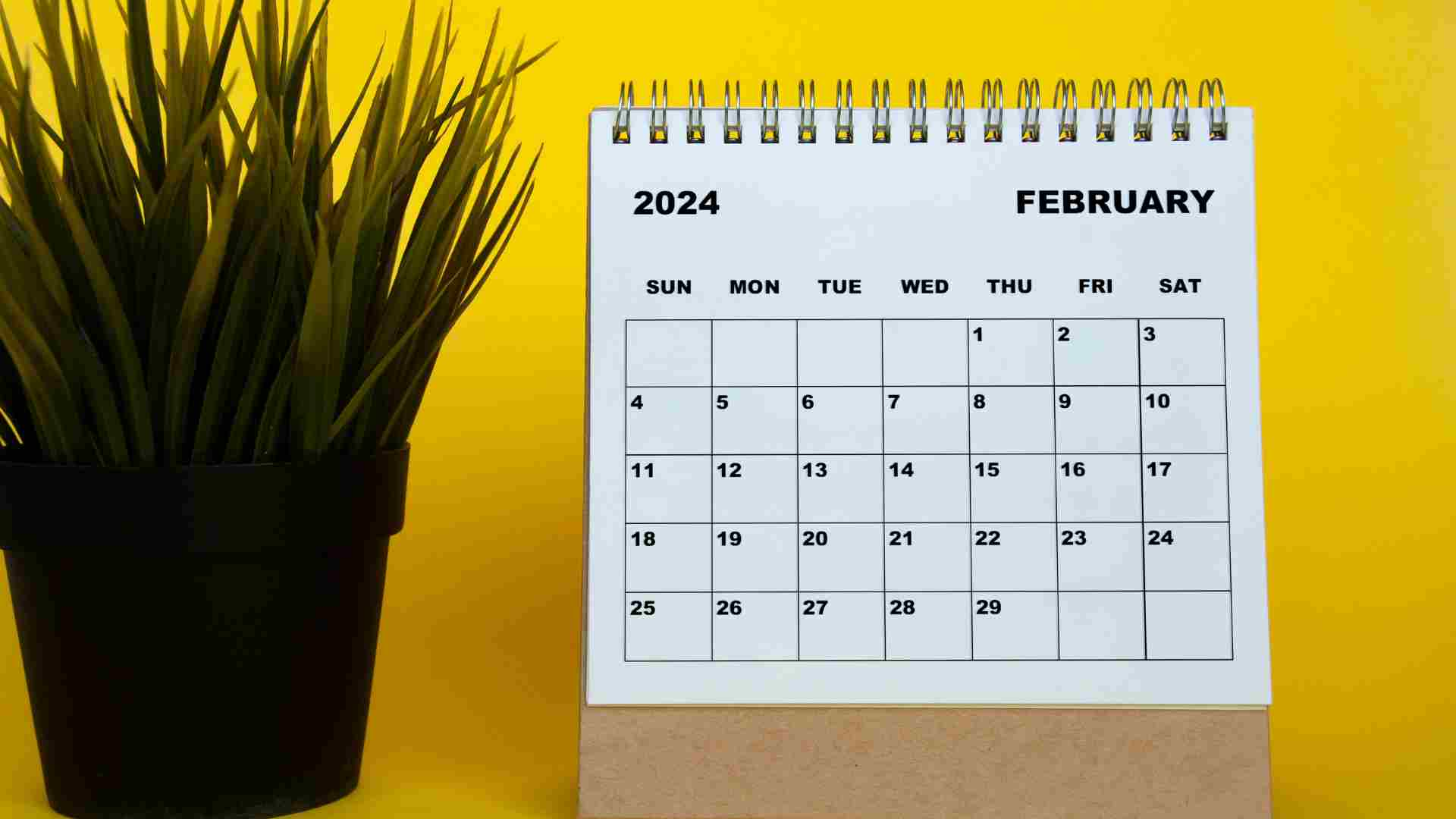 SNAP paydays in February 2024, check when your Food Stamps are due in each state