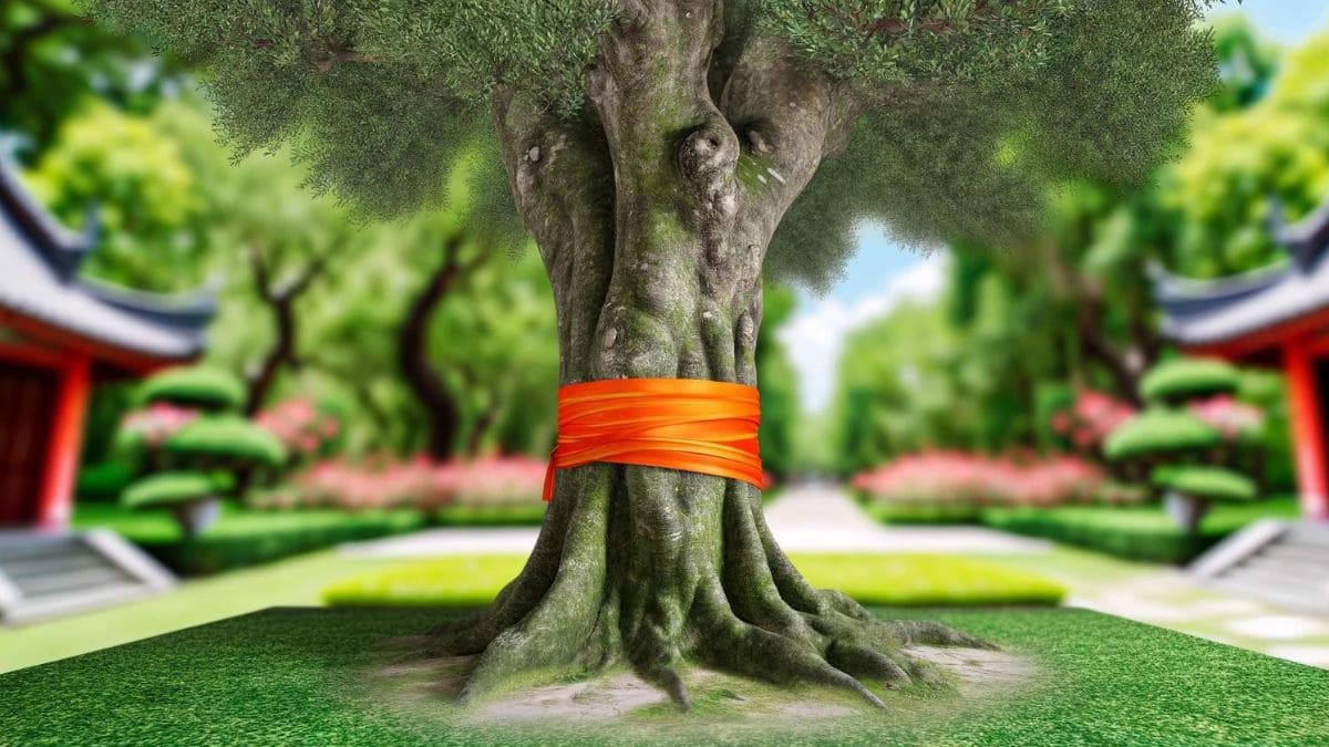 Why you should tie an orange ribbon around the trees in your yard