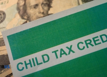 Latest Update on the $300 Child Tax Credit Starting Date