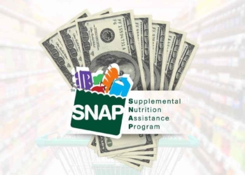 ebt cards payments snap june in the united states