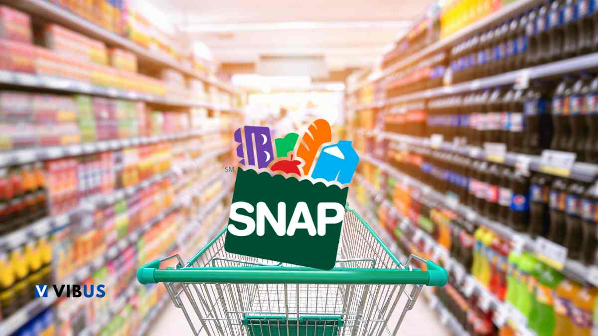 SNAP Benefits Issued This Week: Key Dates and Usage Tips for Recipients