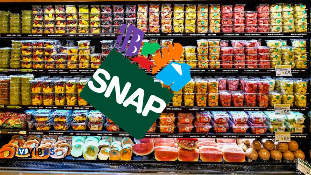 SNAP payments: the complete list of states with pay days of Food Stamps