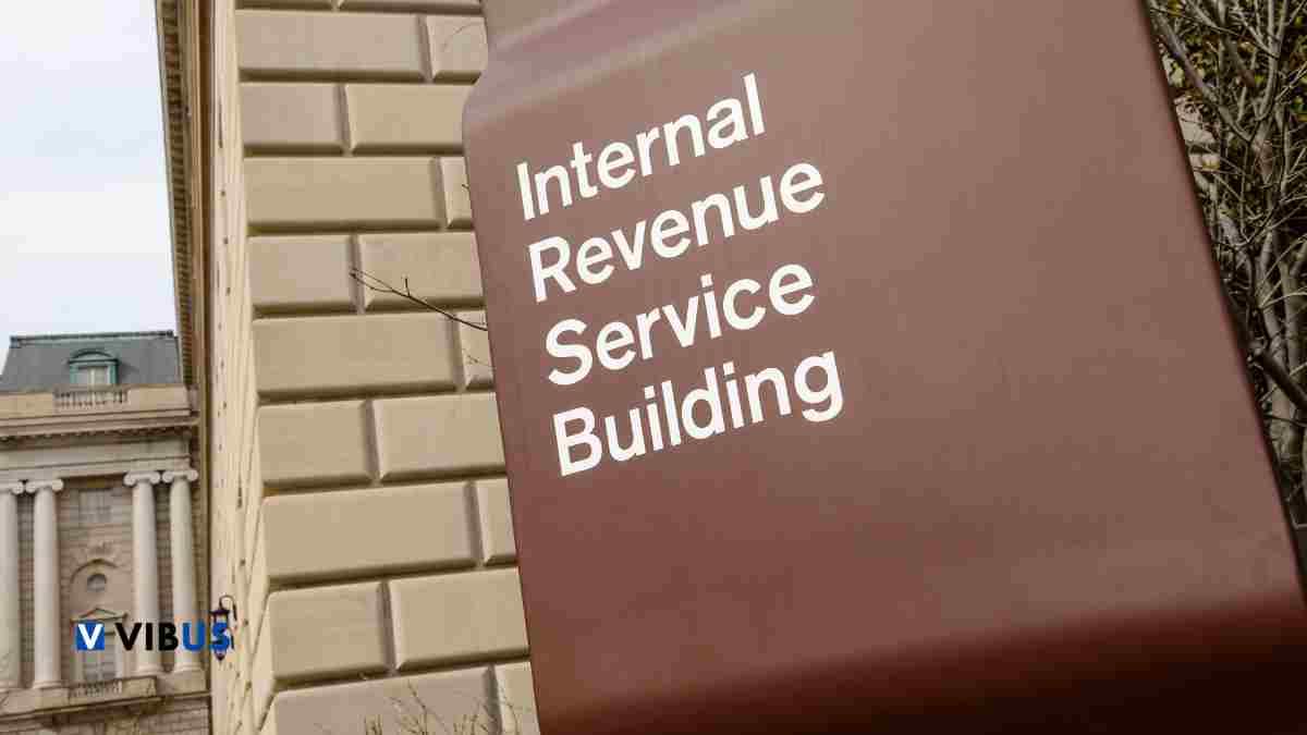 tax filings seizure your refund IRS