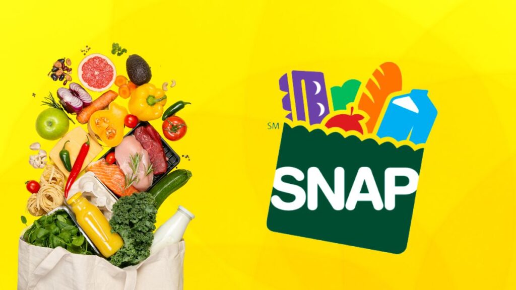 SNAP Reimbursement electronic theft or skimming