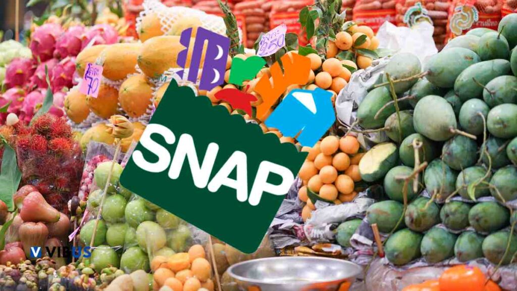 $1,751 SNAP Benefits in Texas