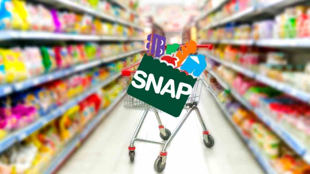 How to apply for D-SNAP benefits after the hurricane