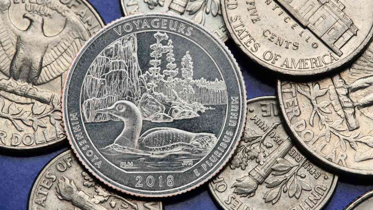 Quarter coins which you may love if you like birding