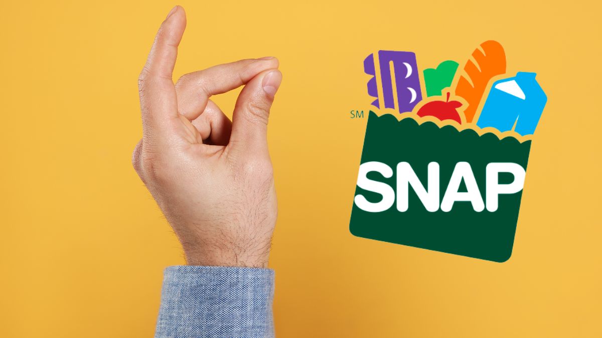 SNAP Payments November Start Today – Up to $292 check food stamp paydays