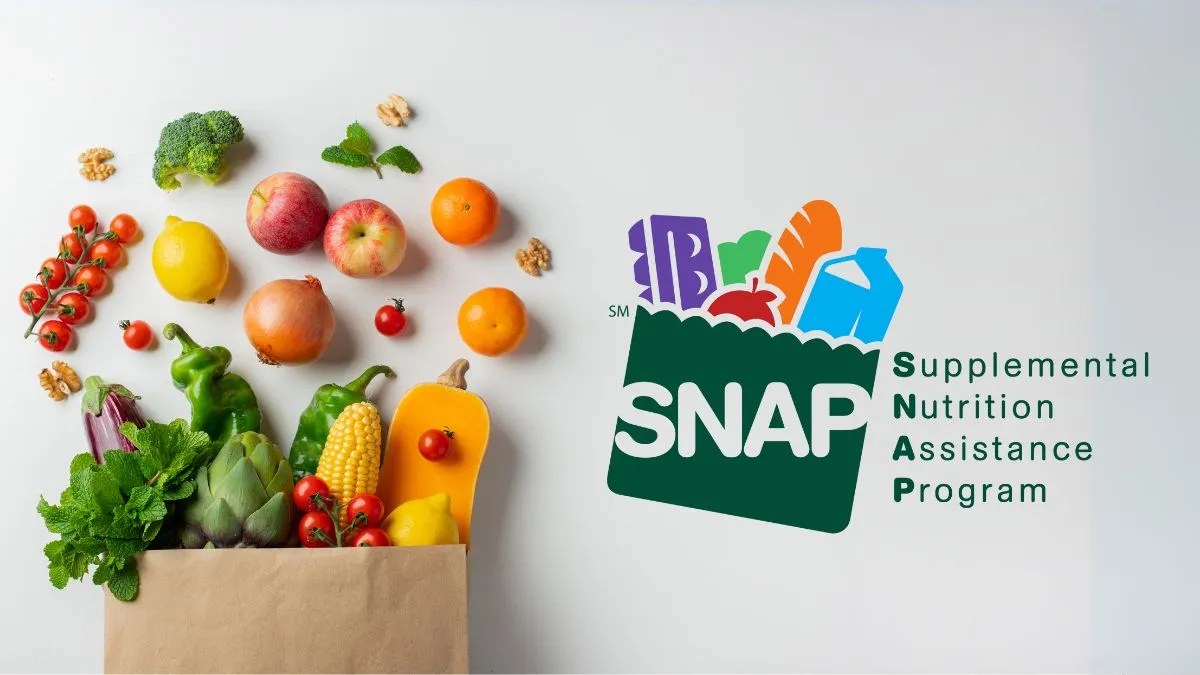 SNAP benefits update for D-SNAP, Food Stamps in the United States