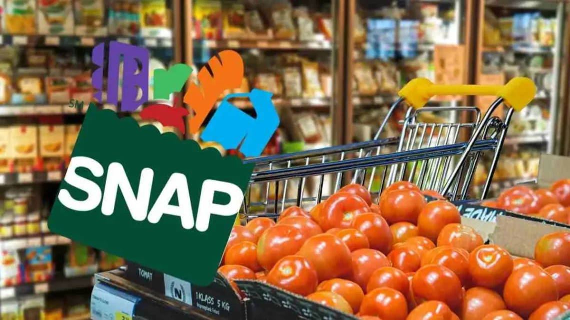 SNAP benefits, check when Food Stamp payments of $431 arrive