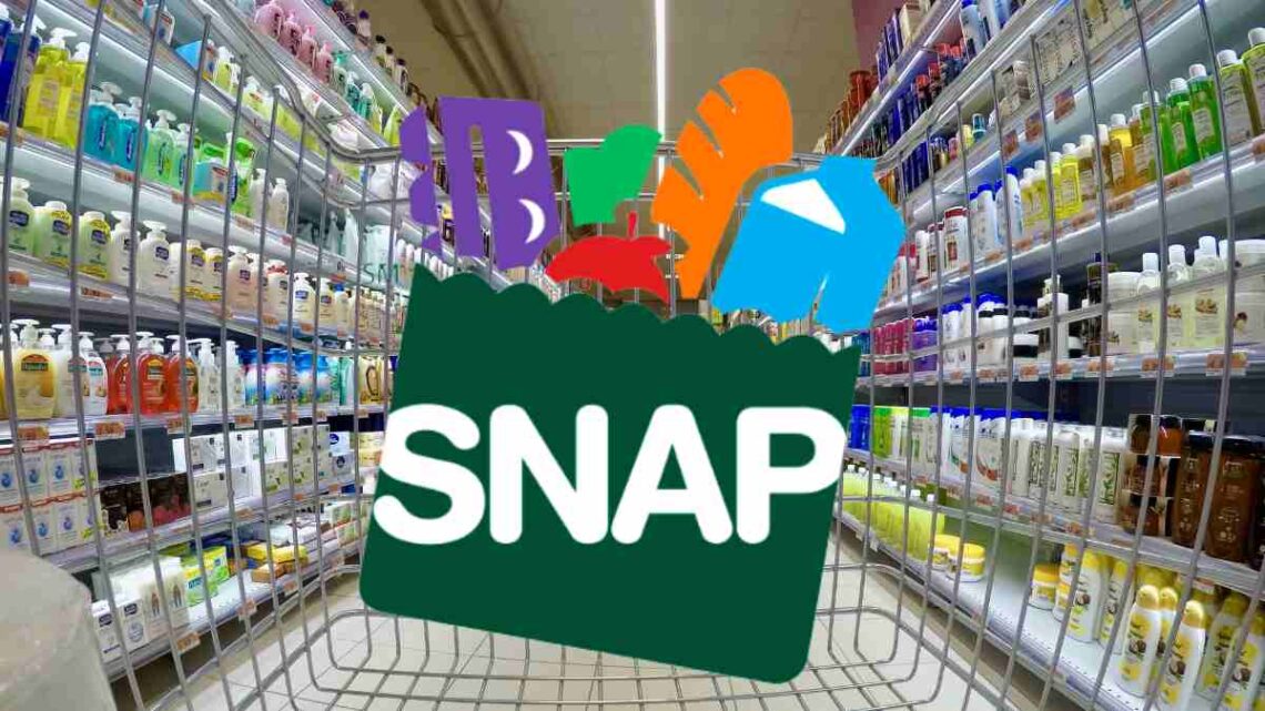 Changes in SNAP benefits new assistance for retirees over 60 years old