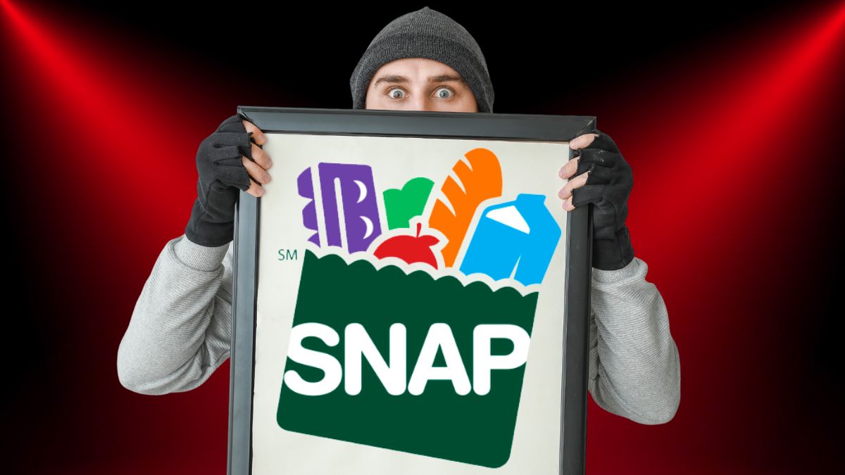 snap benefits recover stolen funds