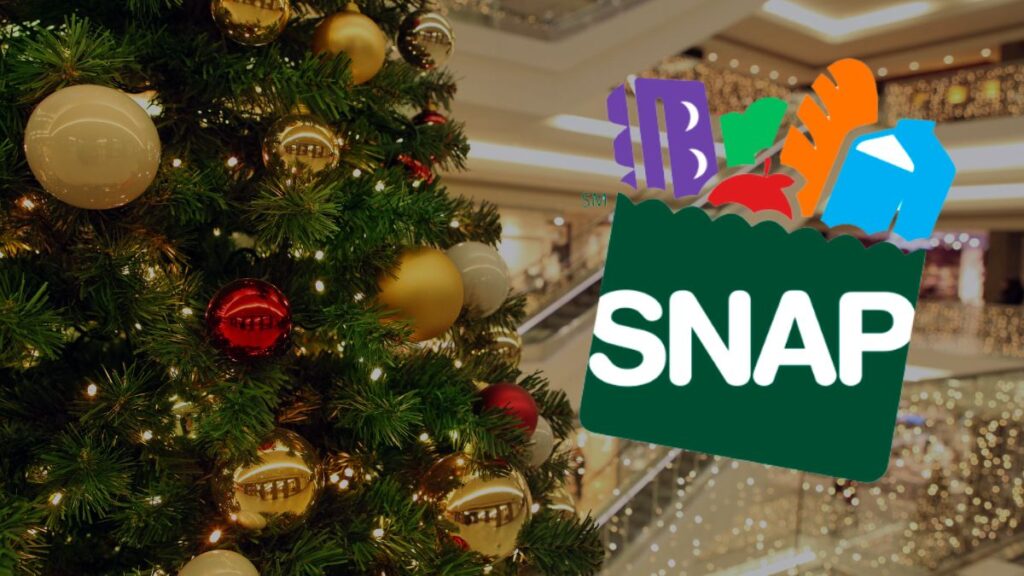 snap payment 1,723 coming in Two Days