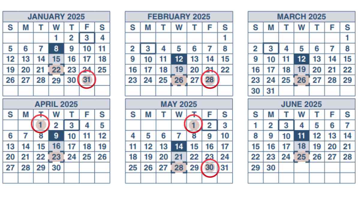 Credits SSA - Payment Schedule for SSI in 2025