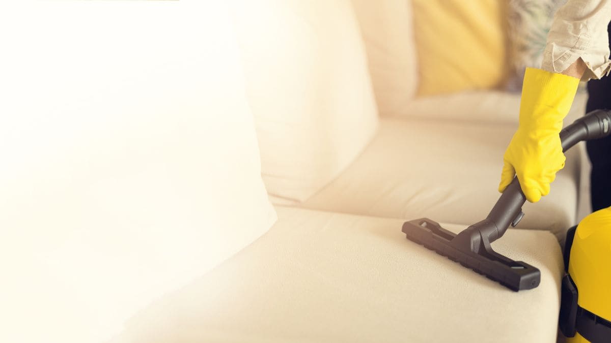 El limpiador viral de sofás y alfombras que necesitas en tu casa