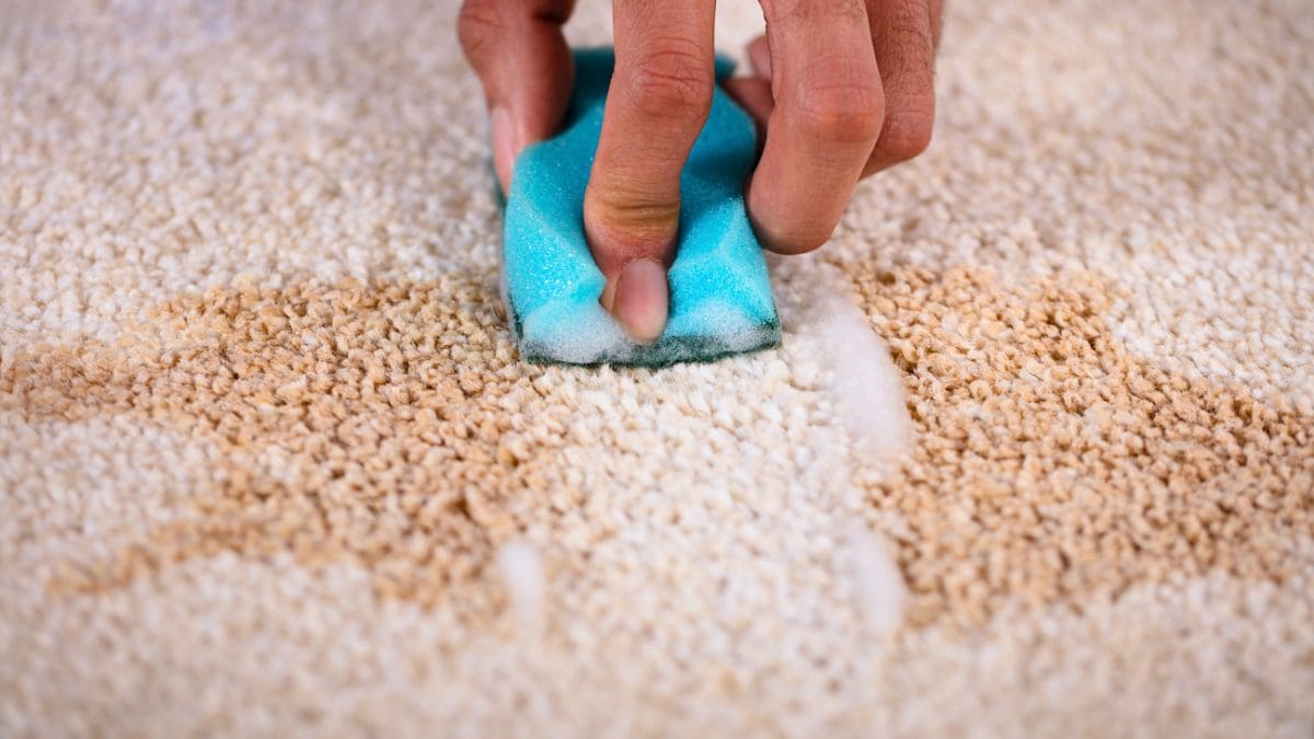El mejor ingrediente para la limpieza de la alfombra
