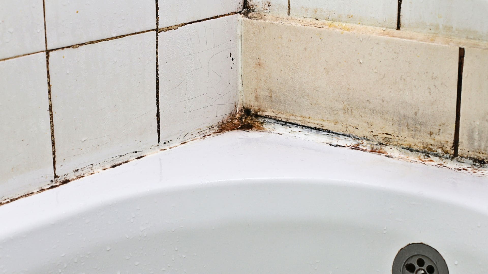 Limpiador de suciedad y manchas de humedad para baños y juntas