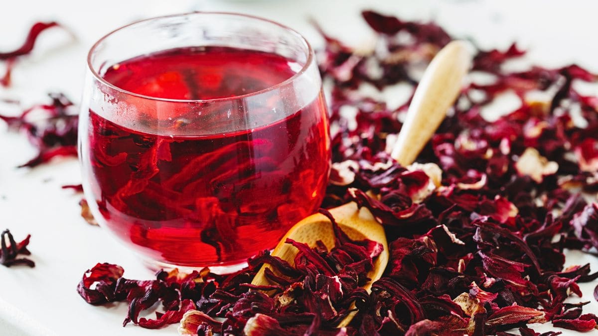 Las propiedades del té rojo como infusión antioxidante