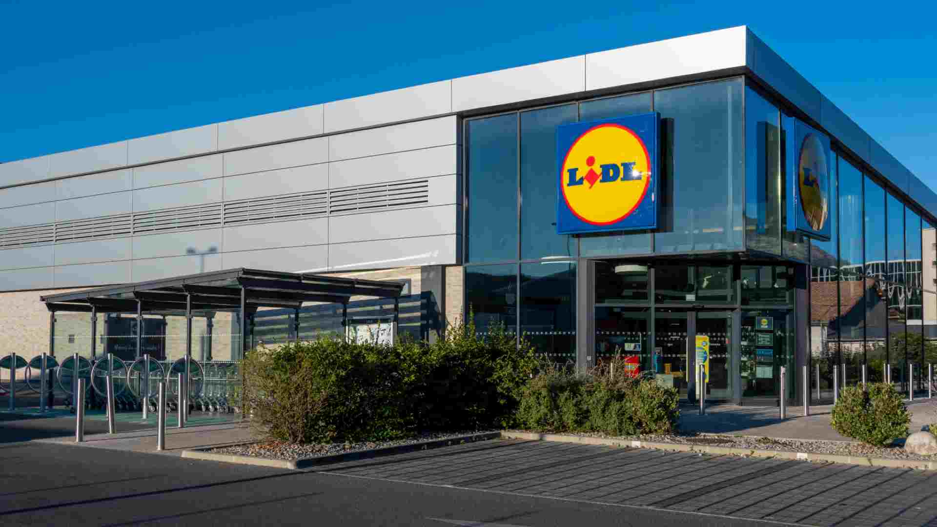 Lidl confirma su gran apuesta en España - nuevas tiendas disponible