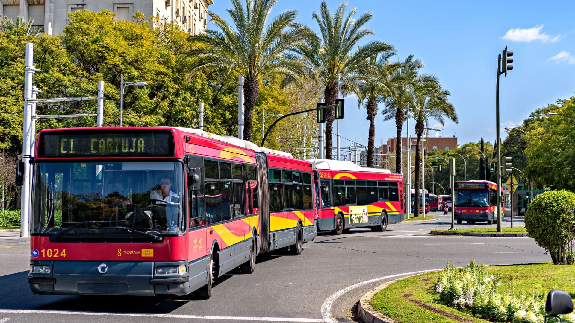 Algunas personas podrán viajar en transporte público gratis en Andalucía