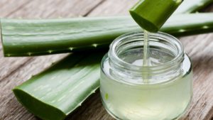 5 cosas que no sabías sobre el Aloe Vera, la planta más popular