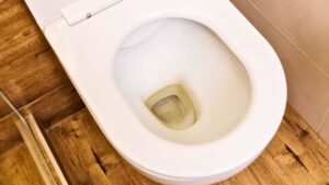 El mejor truco para eliminar las manchas marrones del WC