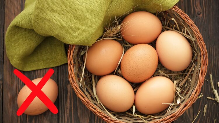 La OCU aclara la diferencia entre los huevos ecológicos y el resto
