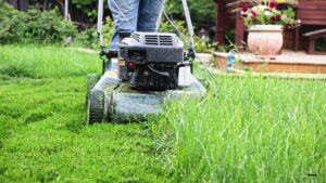 Qué hacer con los recortes de hierba después de cortar el césped: esto dice un experto