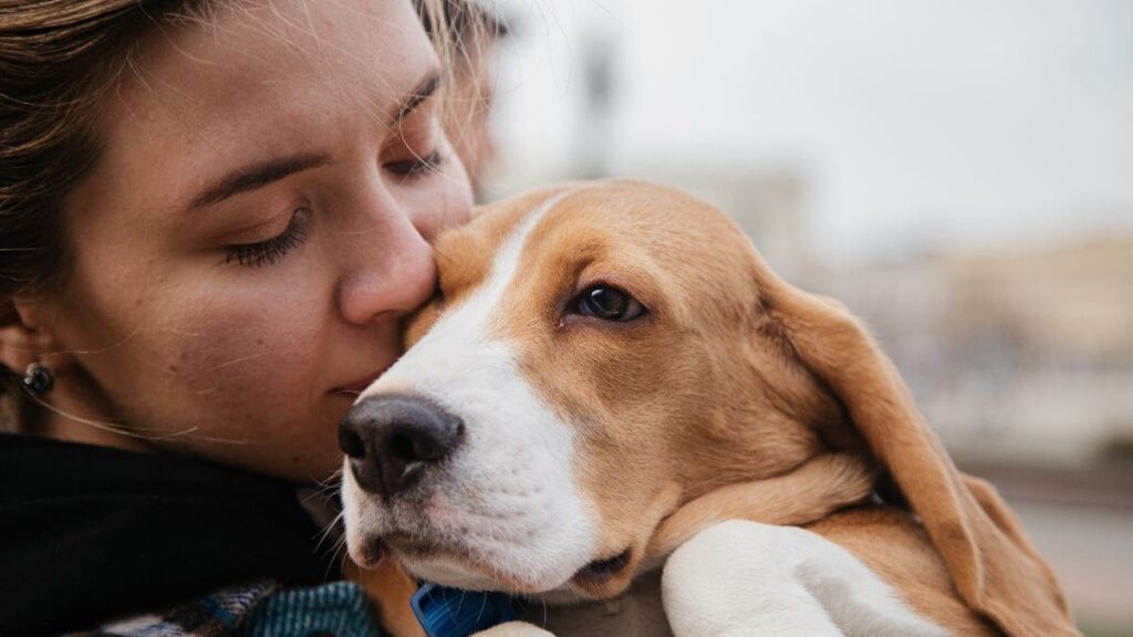 Es posible incluir una mascota en el testamento