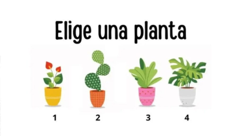 Test planta